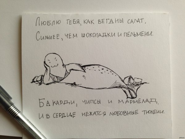 Тюлень гомофоб