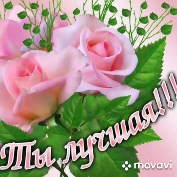 Розы самой очаровательной женщине