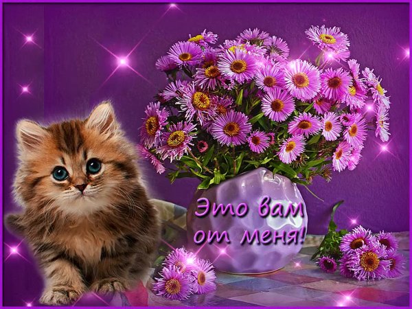 Красивые открытки цветов анимашки девушке