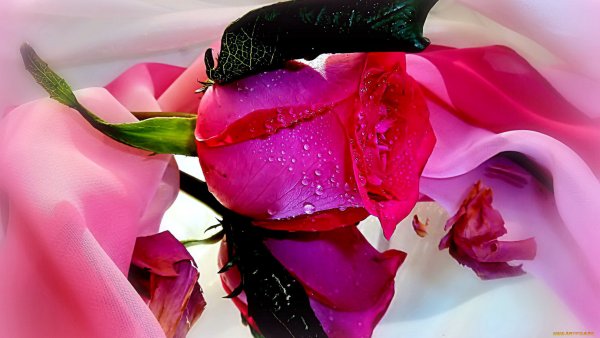 Ты прекрасна