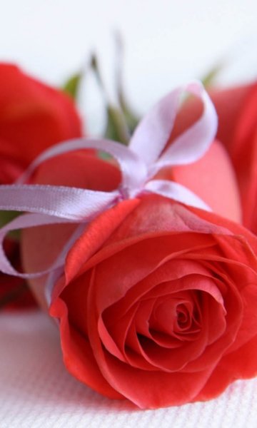 Открытки с комплиментами девушке