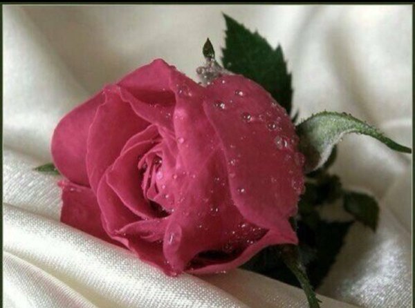 Красотка надпись