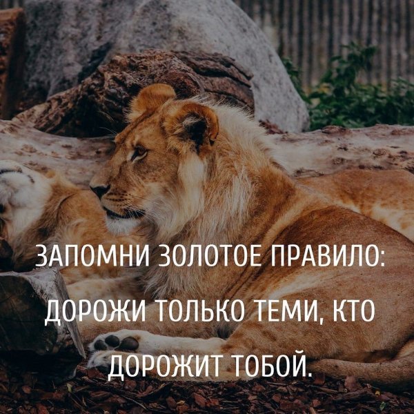 Дорожи только теми кто