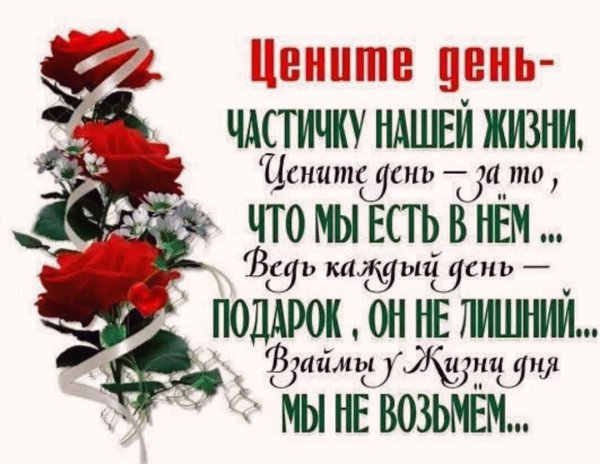Цените день частичку нашей жизни