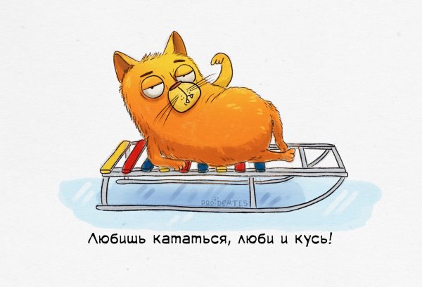 Кусь юмор
