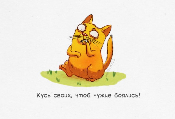 Кусь Кусь