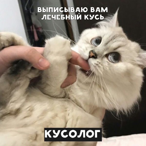 Коварный Кусь