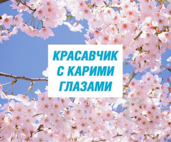 Какой красавчик