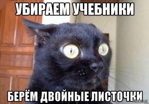 Достаём двойные листочки