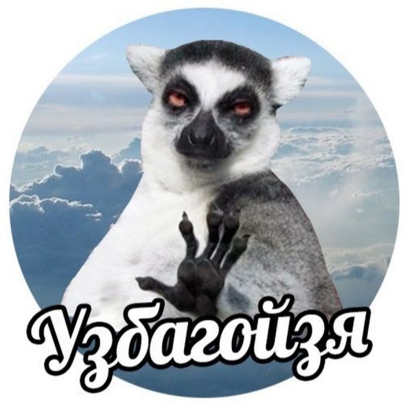 Лемур успокойся