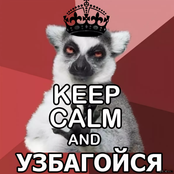 Лемур узбагойся Мем