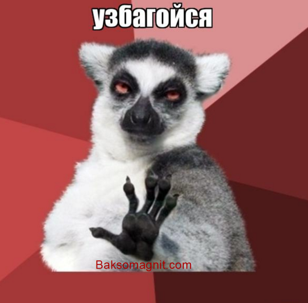 Саша узбагойся