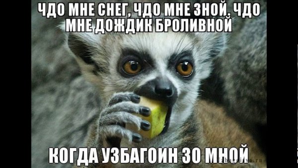 Я збагоен Мем