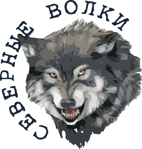 Логотип Северные волки