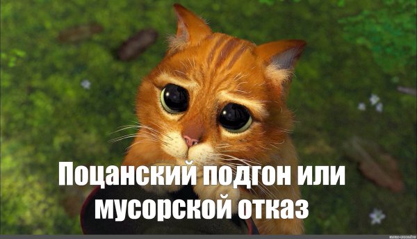 Подпишись пожалуйста