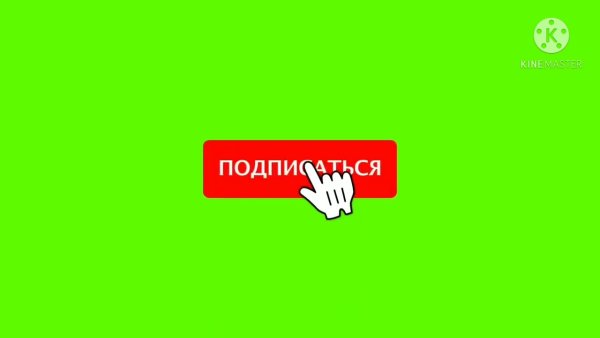 Подписаться гиф
