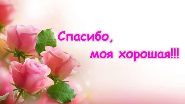 Открытки спасибо моя дорогая