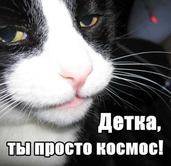Детка ты просто