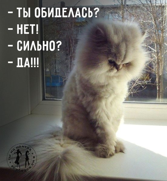 Ты обиделась нет сильно да