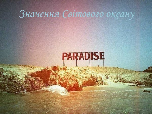 Paradise картинки
