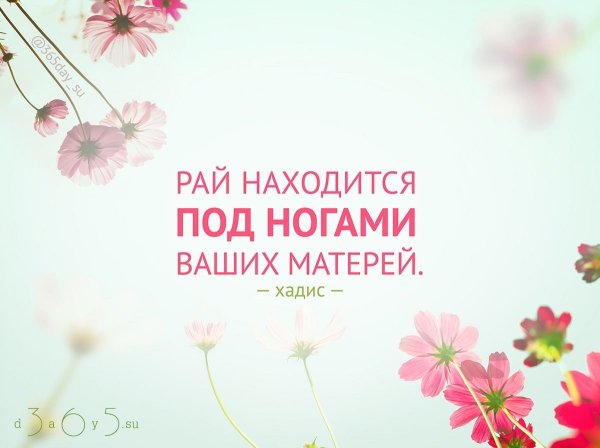 Кубань Жемчужина России