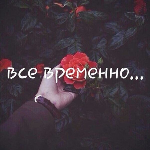 Позитивные надписи