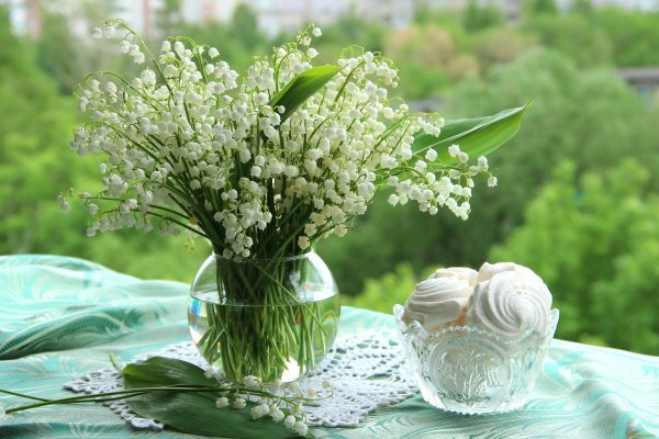 Утренний букет ландышей