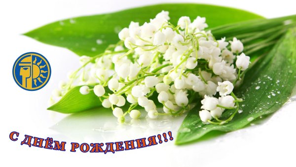 С днём рождения женщине Ландыши