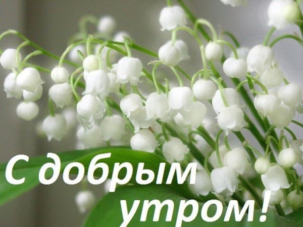 Доброго утра светлых мыслей