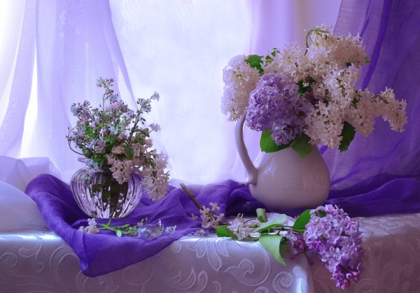 Цветы для певицы