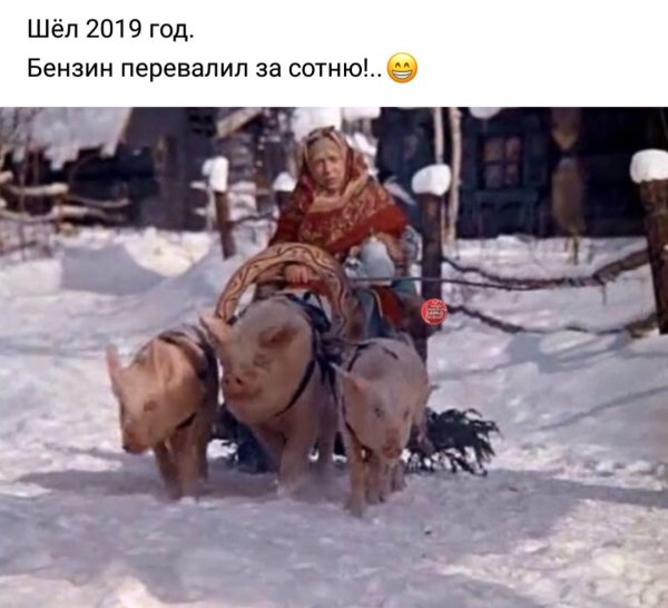 Морозко фильм 1964 сани