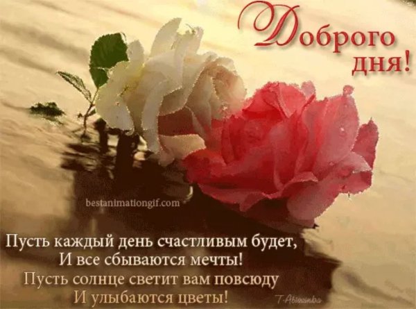 Нежные цветы для женщины