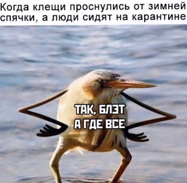С добрым утром надпись на асфальте