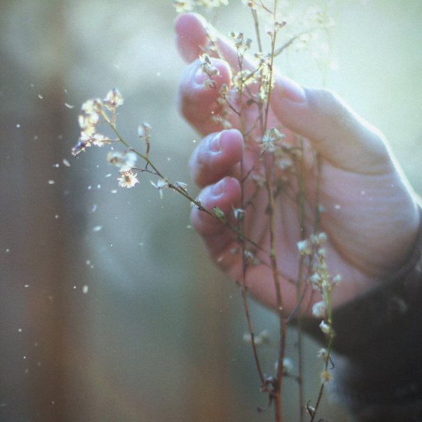 Прощение простить. Цветок в руках