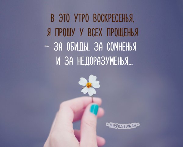 Цитаты про цветы