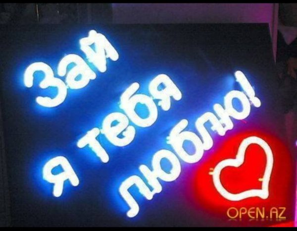 Зай я тебя люблю