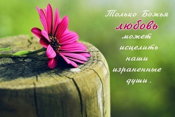 Стихи из Библии о любви Божьей