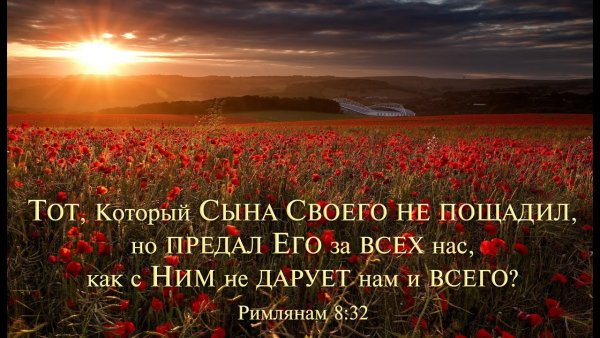 Красивые места из Библии