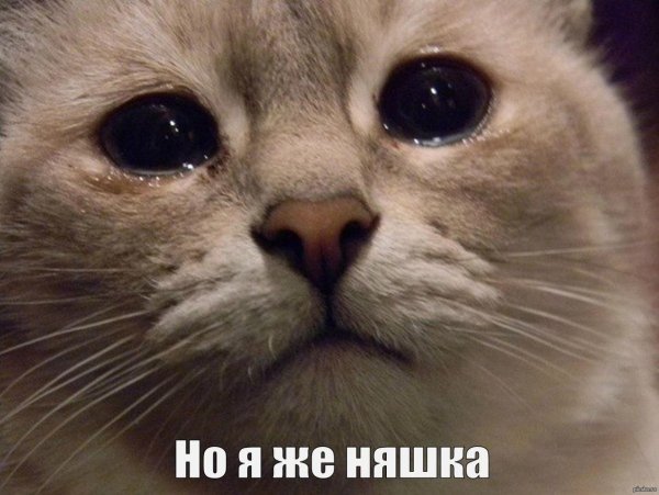 Атике плачет