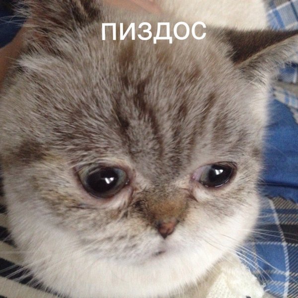 Открытки о несчастной любви
