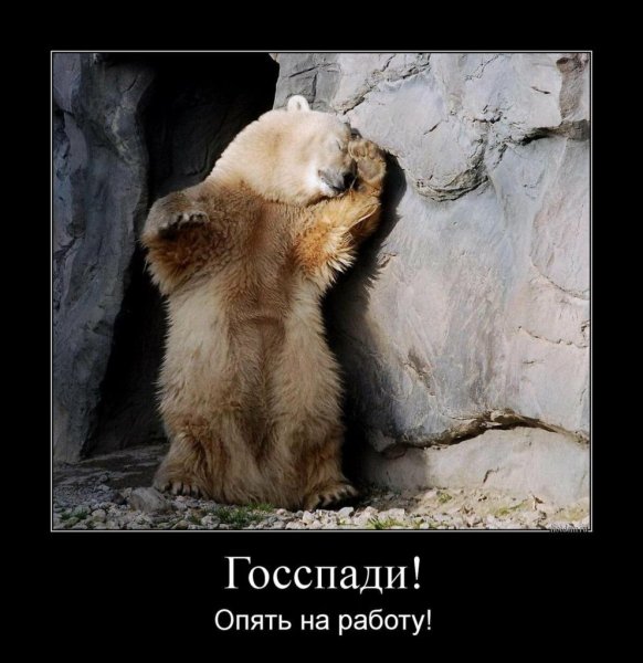 Хорошего дня демотиваторы