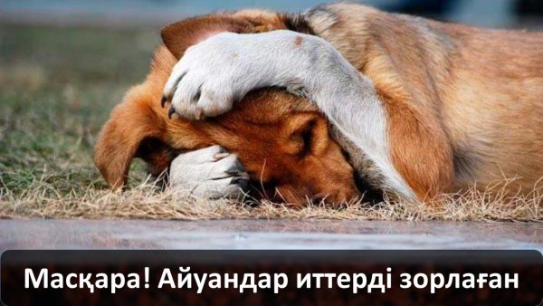 Грусть Мем