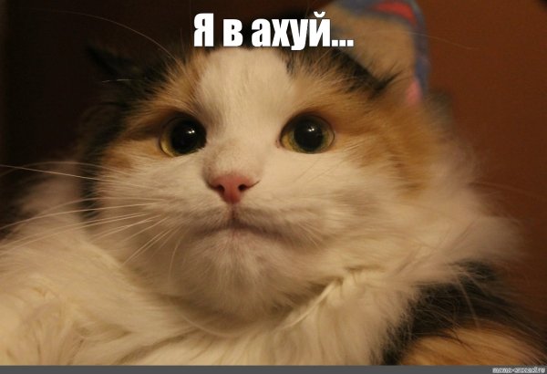 Учиться или не учиться