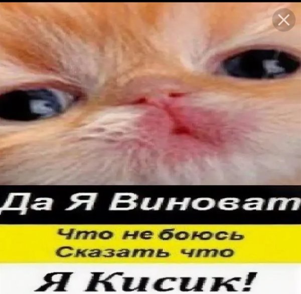 Я люблю грусть