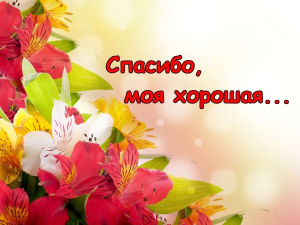 Открытка спасибочки моя хорошая