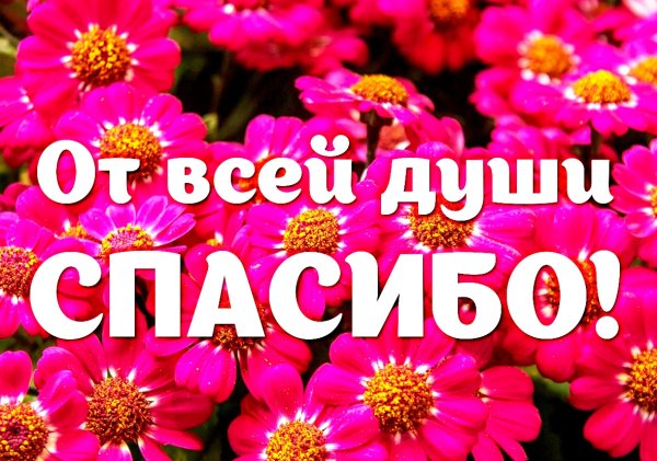 Спасибо от всей души