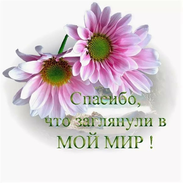 Спасибо и вам доброго