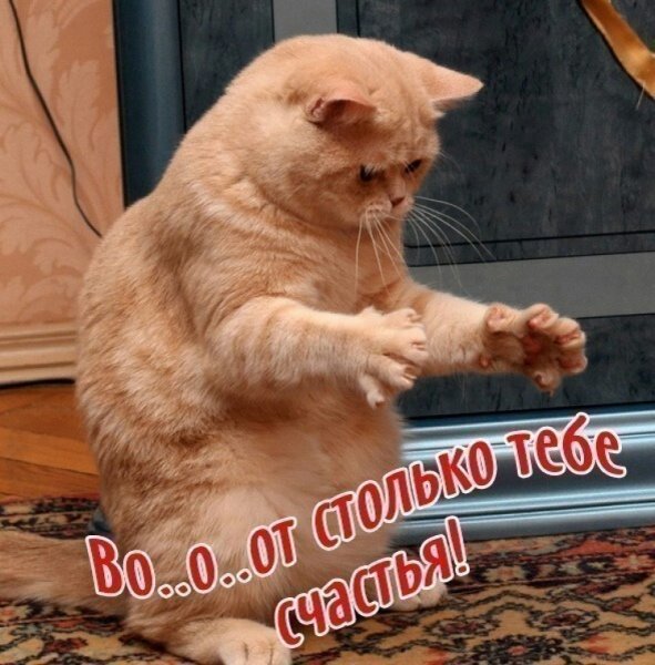 Вот столько тебе