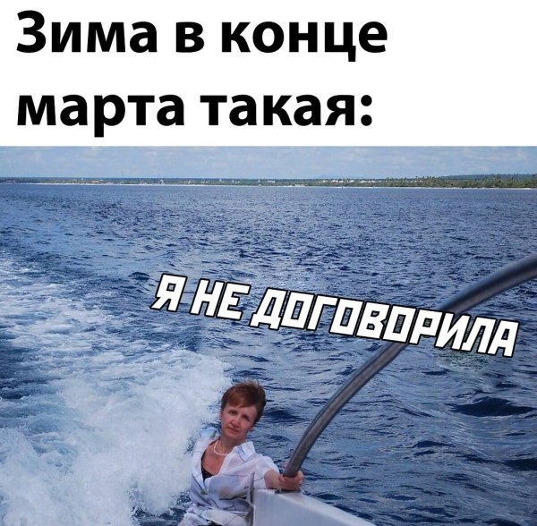 Я не договорила прикол