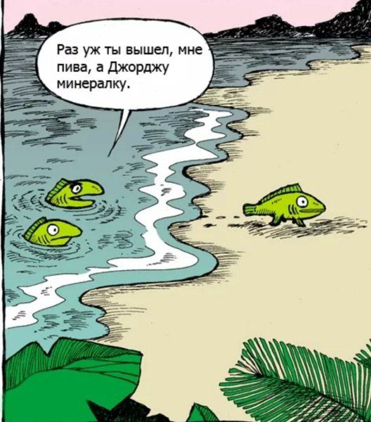 Анекдоты смешные про рыбу